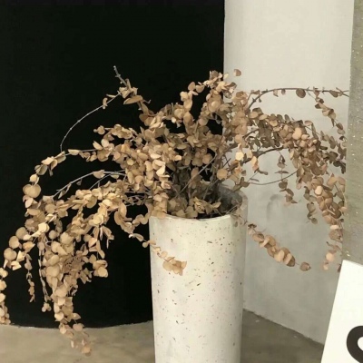 盐源福瑞交流群